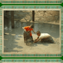 เลี้ยงปลาได้ประโยชน์